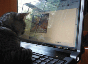 Who needs opposable thumbs when all you need to write is "zzzzzzzzzzzzz"?