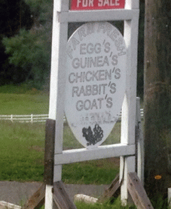 Egg's and Chicken's
