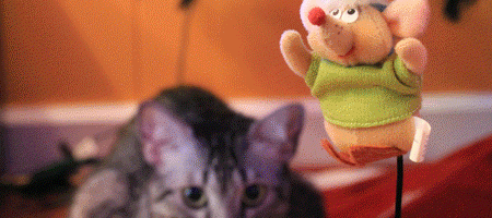 Gus-Gus the Christmas Mouse