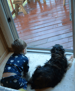 Boy and dog watching the rain